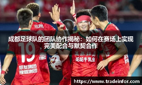 成都足球队的团队协作揭秘：如何在赛场上实现完美配合与默契合作